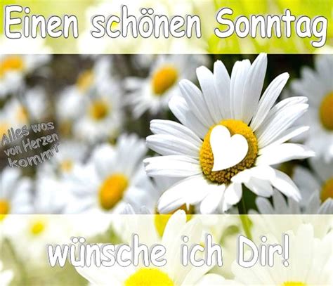 einen schönen sonntag bilder kostenlos|200.000+ Schönen Sonntag Bilder und Fotos ·。